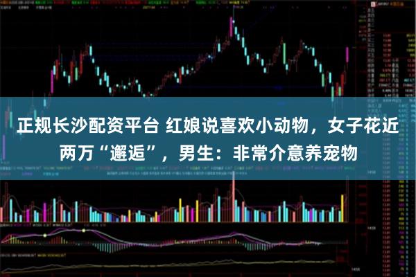 正规长沙配资平台 红娘说喜欢小动物，女子花近两万“邂逅”，男生：非常介意养宠物