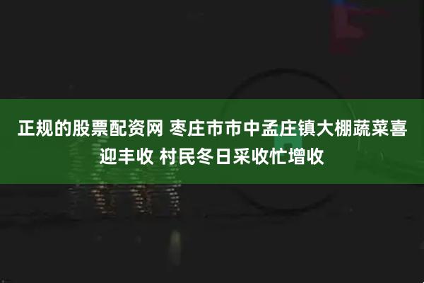 正规的股票配资网 枣庄市市中孟庄镇大棚蔬菜喜迎丰收 村民冬日采收忙增收