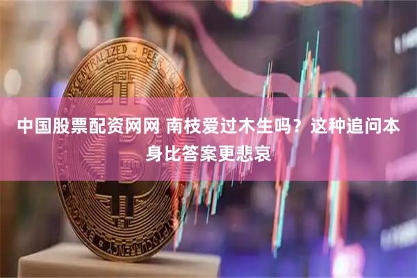 中国股票配资网网 南枝爱过木生吗？这种追问本身比答案更悲哀
